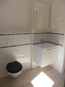 帕科坦Apartments Domino的一间带卫生间、水槽和镜子的浴室