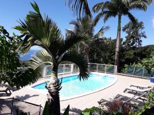黑角Villa Rose Caraibes的游泳池前的棕榈树