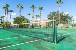 基西米Disney Adjacent的棕榈树网球场上的网球网