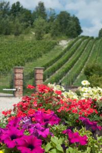 卡拉曼德拉纳La Giribaldina Winery & Farmhouse的葡萄园前种满鲜花的花园