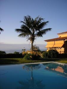 拉奥罗塔瓦Lujoso apartamento en Finca Robles 2的棕榈树和一个带游泳池的房子