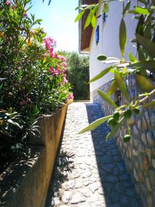 希洛Ecohouse Oliveglia的一条种满鲜花和墙壁的花园小径