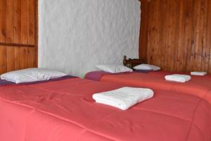 卡瓦纳科德Oasis Paraiso Ecolodge的两张带红色床单和白色毛巾的床