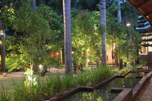 班达楠榜Bamboe Inn Homestay的花园,晚上有池塘和树木