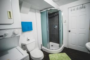 滨海卡尔顿Aux 4 vents - Auberg'Inn的带淋浴、卫生间和盥洗盆的浴室