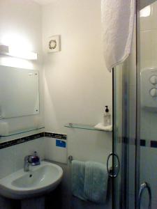 普里茅斯Mountbatten Hotel的一间带水槽和淋浴的浴室