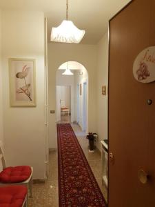 罗马Andreina a San Pietro Apartment的一间房间里铺有红地毯的走廊