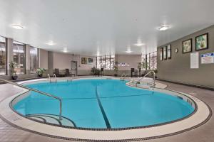 Best Western Premier Calgary Plaza Hotel & Conference Centre内部或周边的泳池