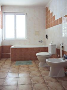 特伦钦温泉镇Penzionlivia,Tr.teplice的浴室配有卫生间、浴缸和水槽。