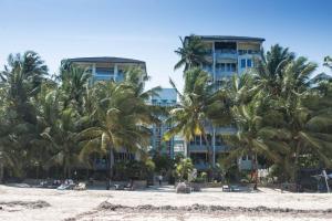 蒙巴萨Modern Beach Front Studio Apartment - B44的棕榈树海滩上的酒店
