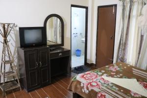 索拉哈Peacock - a family-run hotel的一间卧室配有电视、一张床和镜子