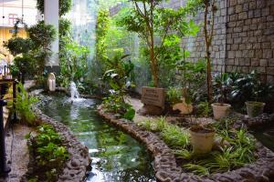 拉巴斯欧洲大酒店 的一座带池塘和瀑布的花园
