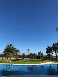 滨海罗克塔斯Primera linea costa Almeria con WIFI的公园内种有棕榈树的游泳池