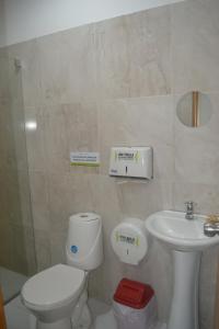 蒙特里亚Hotel Calarca Plus的一间带卫生间和水槽的浴室