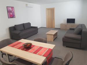 洛加泰茨Apartmaji Janković的客厅配有桌子、沙发和桌子。