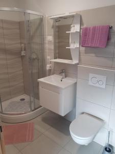 洛加泰茨Apartmaji Janković的带淋浴、卫生间和盥洗盆的浴室