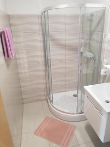洛加泰茨Apartmaji Janković的带淋浴和盥洗盆的浴室