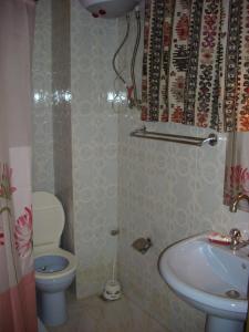 卢克索兰姆斯旅馆的一间带卫生间和水槽的小浴室