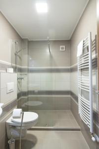 齐尔茨Cuha-gyöngye Apartmanház的一间带玻璃淋浴和卫生间的浴室