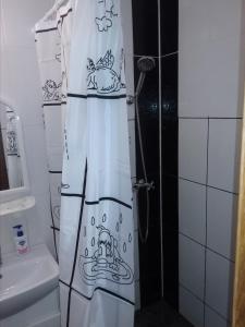 敖德萨洛丁娜酒店的浴室设有淋浴帘,上面有鱼