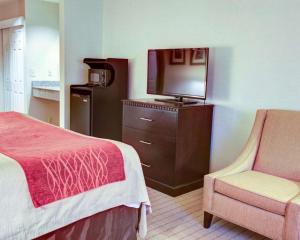 弗洛伦斯佛罗伦萨品质酒店的酒店客房带一张床、一台电视和一把椅子