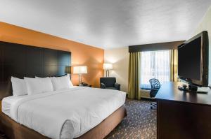 阿什兰Comfort Inn & Suites的配有一张床和一台平面电视的酒店客房