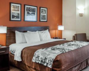 查尔斯顿Sleep Inn North Charleston Ashley Phosphate的一张大床,位于酒店带两盏灯的房间