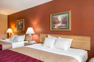 格林维尔Greeneville Inn And Suites的橙色墙壁的酒店客房内的两张床