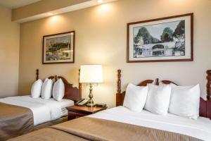 格林维尔格林维尔品质酒店的酒店的客房 - 带2张带白色枕头的床