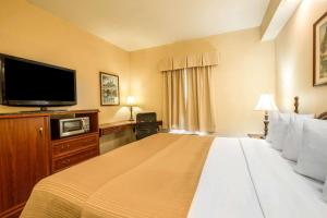 格林维尔格林维尔品质酒店的一间酒店客房,配有一张大床和一台平面电视