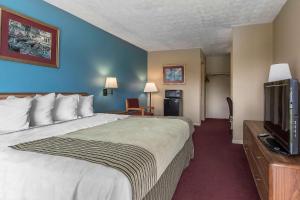 杰克逊杰克逊罗德威汽车旅馆的配有一张床和一台平面电视的酒店客房