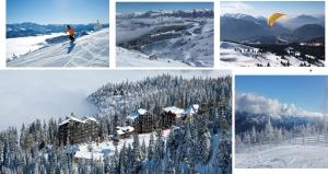 瑟洛内白色普罗旺斯酒店的雪地滑雪胜地照片的拼合