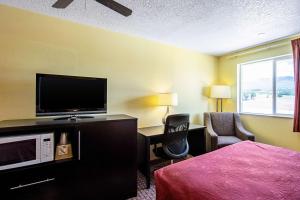 蒙蒂塞洛蒙蒂塞洛罗德威旅馆的配有一张床和一台平面电视的酒店客房