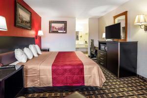 盐湖城盐湖城市中心伊克诺旅店的配有一张床和一台平面电视的酒店客房