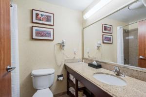 雪松城锡达城康福特茵旅馆及套房酒店的一间带卫生间、水槽和镜子的浴室