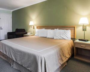 史蒂文森史蒂文森罗德威旅馆的酒店客房带一张大床和一把椅子