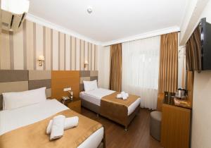 伊斯坦布尔伊斯坦布尔老城阿斯宫酒店的酒店客房设有两张床和电视。