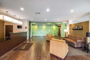 Haysville海斯维尔司丽普套房酒店的带沙发和绿色墙壁的客厅