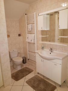 帕利克维拉爱丽扎贝特旅馆的一间带水槽和卫生间的浴室