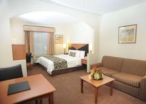 圣何塞拉斯维加斯大道达马斯司丽普酒店的酒店客房,配有床和沙发