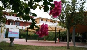 圣玛丽亚德尔西德Hotel Residence Turium的两朵粉红色的花挂在建筑物前面的树上