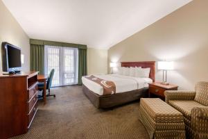 塔彭斯普林斯Quality Inn & Suites Tarpon Springs South的配有一张床和一张书桌的酒店客房