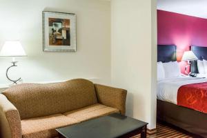 棕榈湾棕榈湾康福特套房酒店 - 墨尔本的酒店客房设有一张沙发和一张床