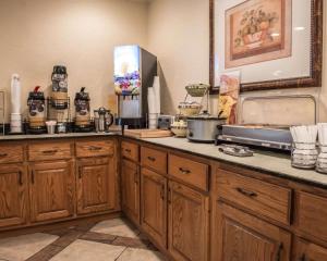 湖城湖城品质酒店的厨房配有木制橱柜和台面