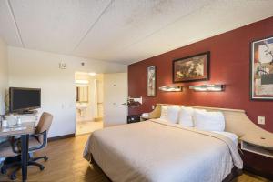 坦帕Rodeway Inn Tampa near Busch Gardens-USF的酒店客房配有一张床、一张书桌和一台电视。