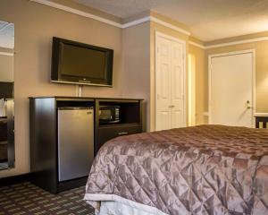 坦帕坦帕易博市罗德韦汽车旅馆的配有一张床和一台平面电视的酒店客房