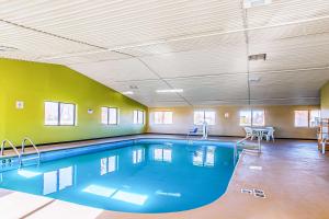 卡本代尔Quality Inn Carbondale University area的绿色墙壁客房的大型游泳池