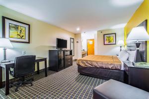 卡本代尔Quality Inn Carbondale University area的配有一张床和一张书桌的酒店客房