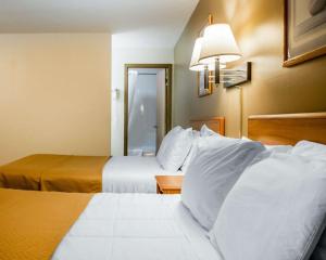 埃尔克哈特伊克诺旅馆客房内的一张或多张床位