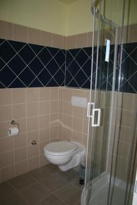 玛塔弗瑞德玛特纳吉姆平公寓酒店的一间带卫生间和玻璃淋浴间的浴室